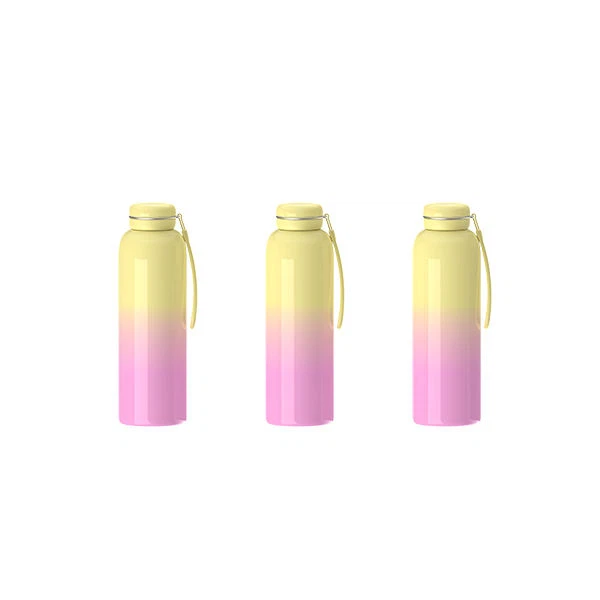 Stainless Steel Thermos Bottle With Macarons Lid suppliers